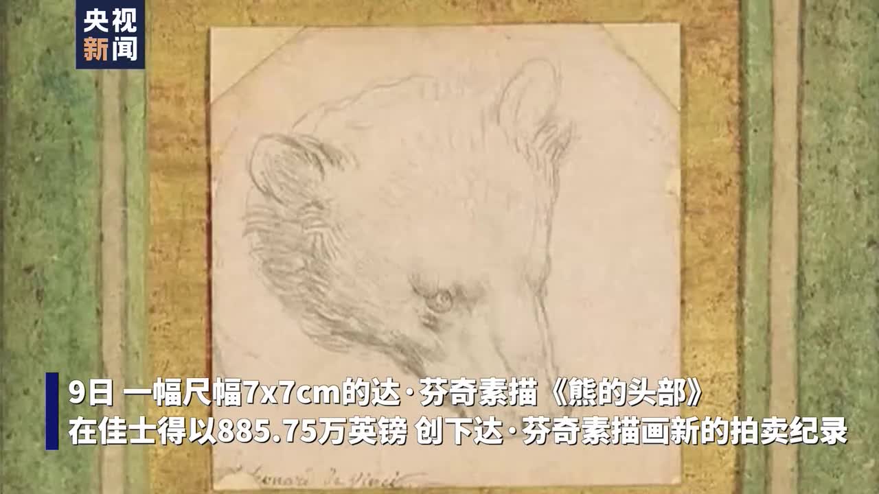 885.75万英镑 达-芬奇素描《熊的头部》拍卖价创新高