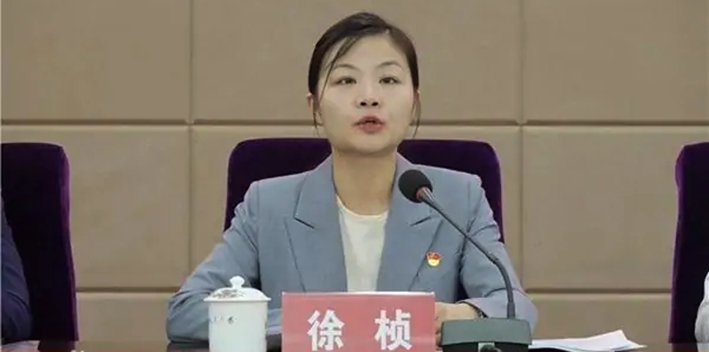 85后常德澧县县委副书记徐桢，拟提名为县市区长候选人