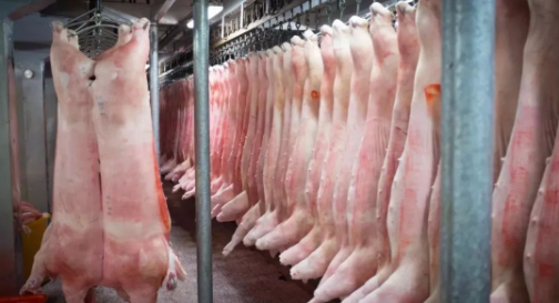 发改委：必要时将会同有关部门进一步加大猪肉价格调控