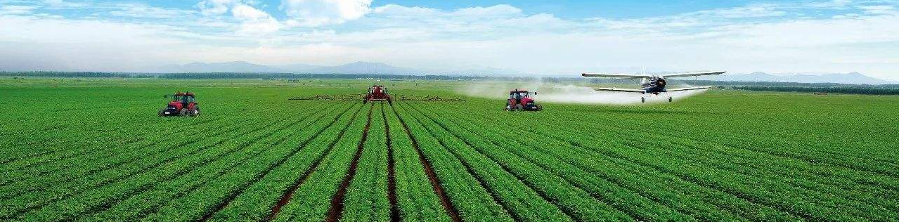 中国在非最大农业项目正式落地