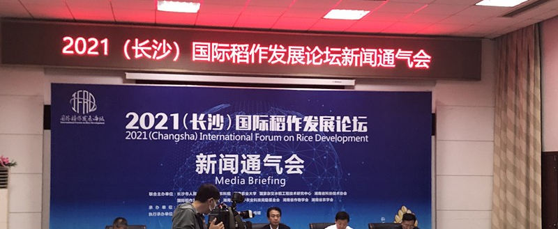 2021国际稻作发展论坛将于10月16日在长沙开幕
