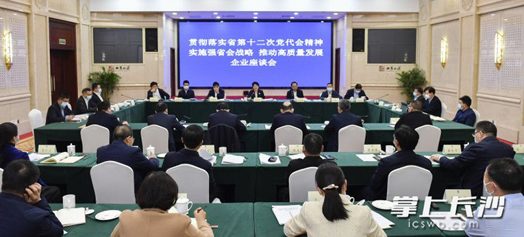 吴桂英与长沙市重点企业代表座谈，深入实施强省会战略