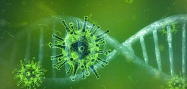 长沙市从入境人员中检出2例新冠病毒奥密克戎变异株感染者