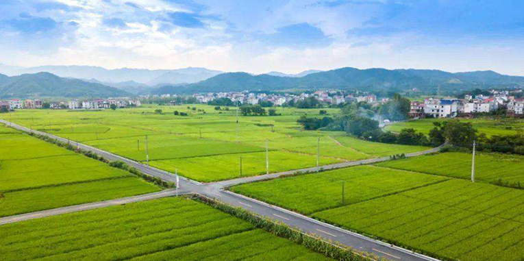 藏粮于地，湖南一年建成460万亩高标准农田