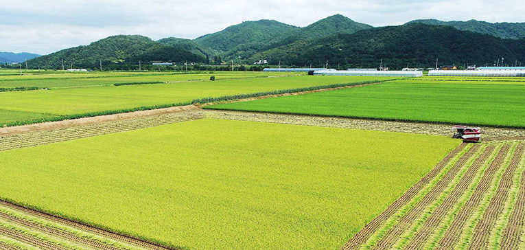 460万亩高标准农田带旺农机需求 湖南上市公司加快布局产业链