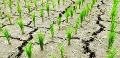 湖南省气象干旱略有减轻 特旱县（市、区）已减至94个