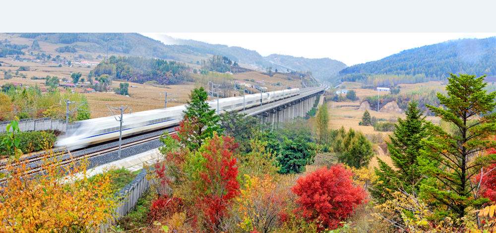 湖南实施3年铁路安全环境治理专项整治 消除铁路沿线环境类安全隐患1.26万处