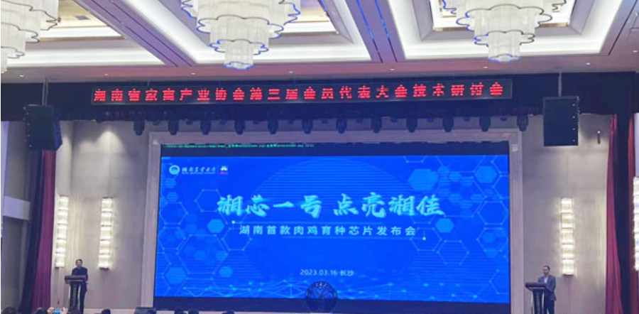 湖南首款肉鸡育种芯片“湘芯一号”正式发布
