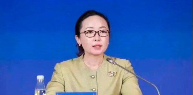 “75后”女厅官任北京市台联党组书记，她是湖南桃源人
