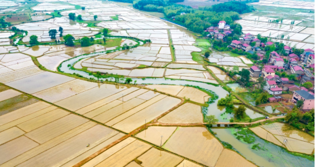 湖南：已完成早稻播种面积1816万亩，油菜播栽面积较上年增加超200万亩