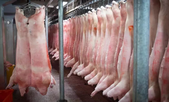 港澳市民爱吃衡阳猪肉 1至5月衡阳市出口活猪数量居全省第一