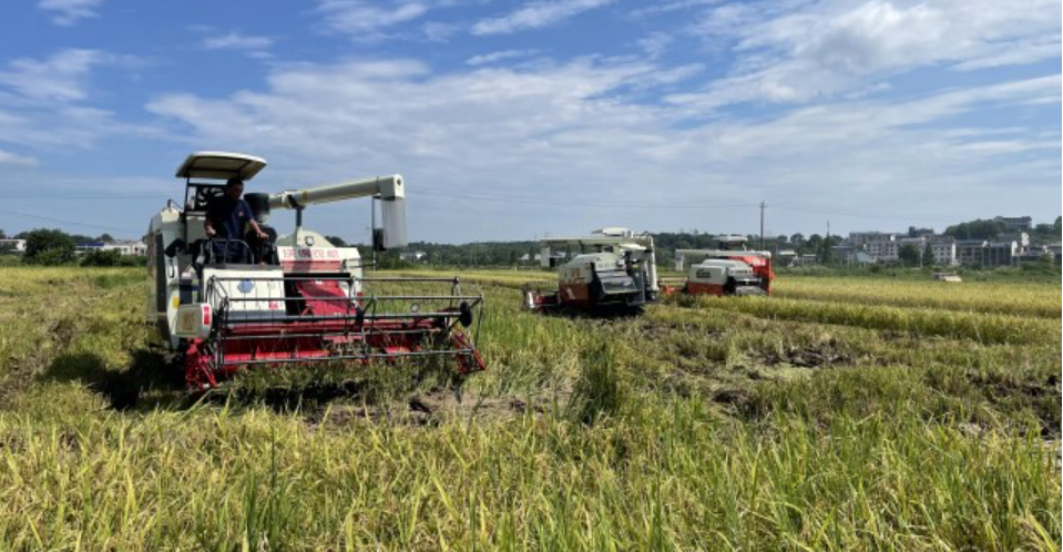 农机装备总动力居全国第6位 湖南加快补齐丘陵山区农机化短板