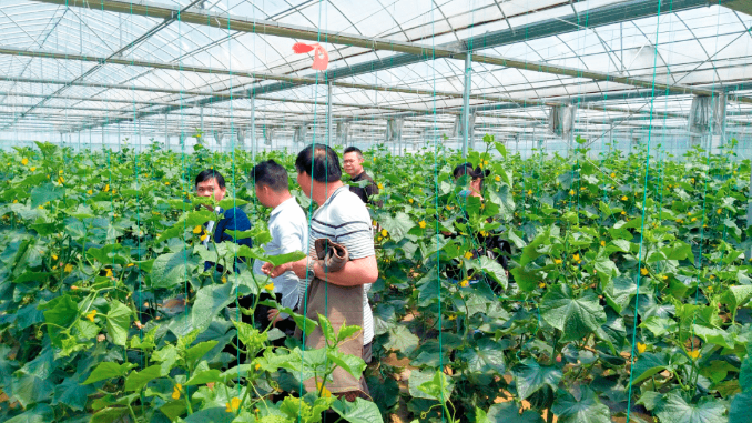 湖南10年累计培育高素质农民27.6万人