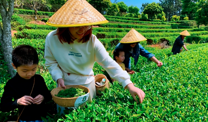 湖南2地入选2023年全国休闲农业重点县