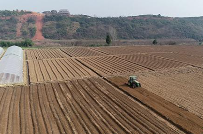 湖南耕地连续三年“进大于出” 累计净增加超50万亩