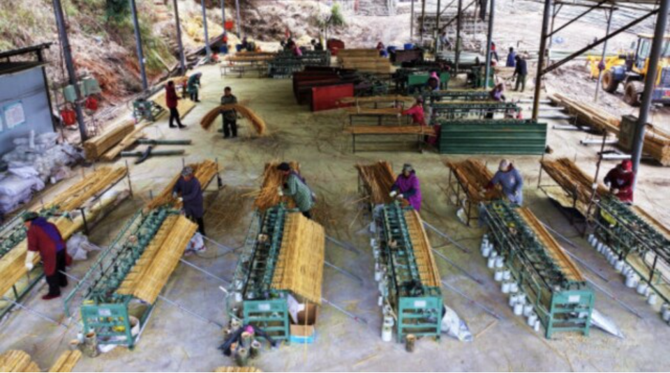 湖南：竹产业高质量发展“五年行动”启动