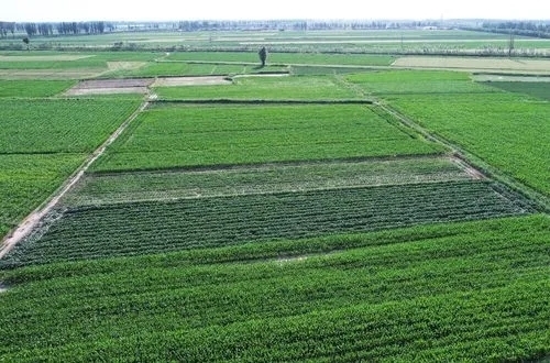 湖南发布2024年农业主导品种和主推技术