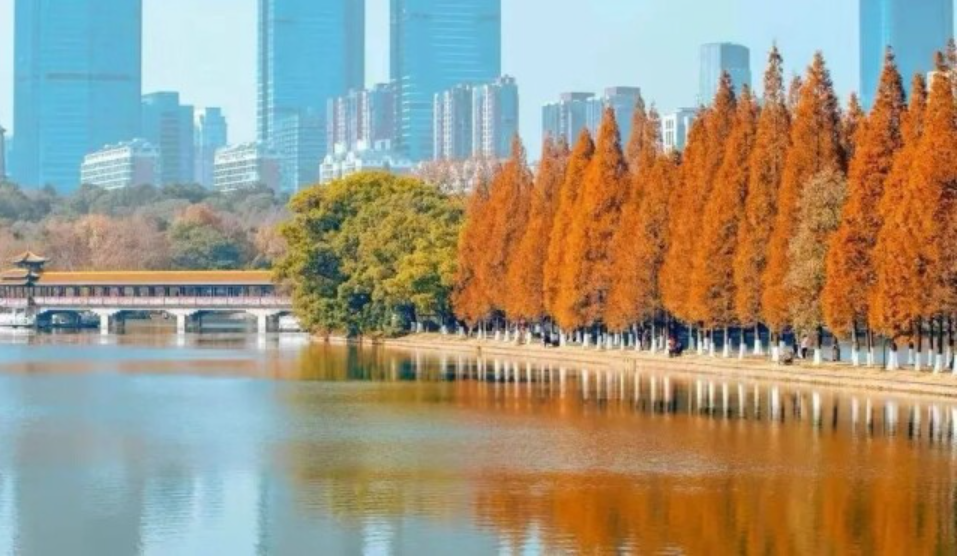 气温直冲20℃，湖南近期为何温暖如春？