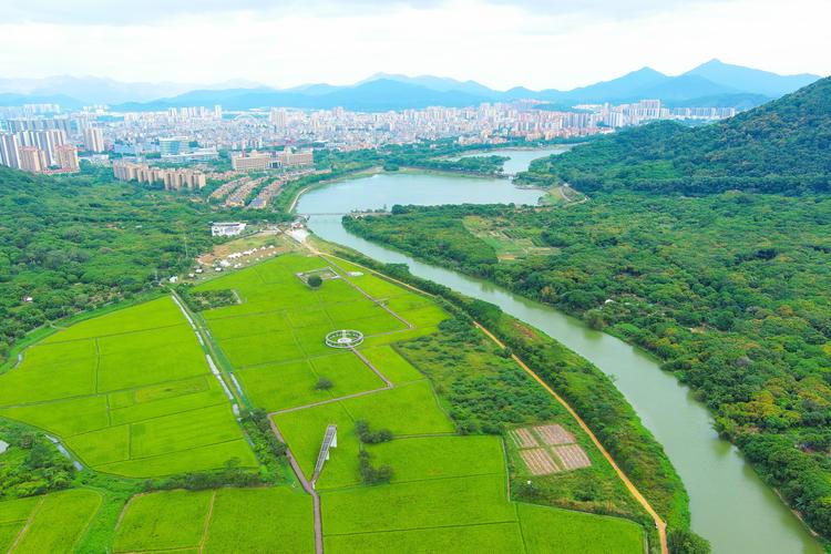 湖南省深入推进全域土地综合整治以县域为统筹单元，以乡镇为基本实施单元