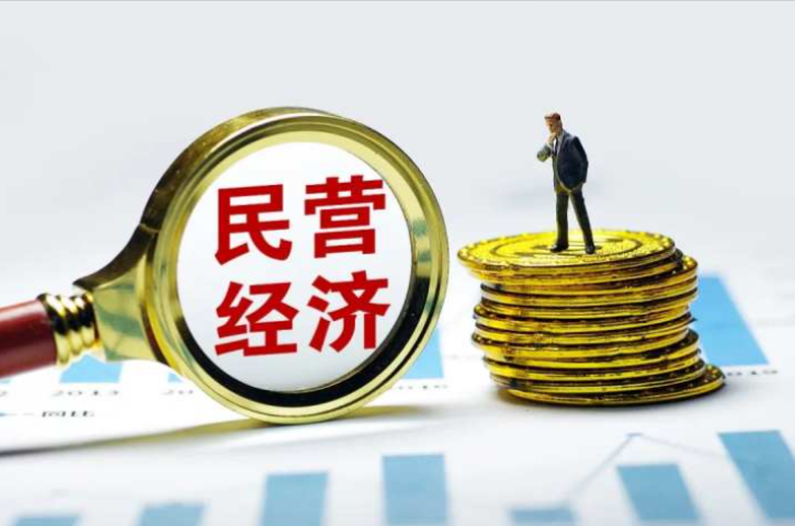 湘江新区民营经济迈上新台阶 15.5万余家民企贡献超七成税收