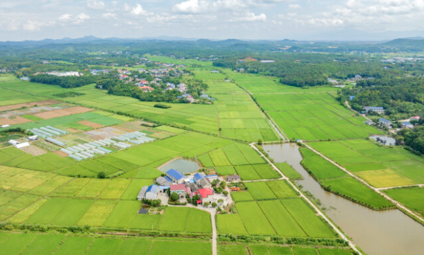 湖南20个乡镇上榜省级农业产业强镇，他们强在哪？