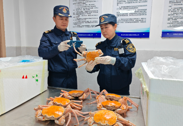 跨境贸易更便利，长沙海关出台25条措施